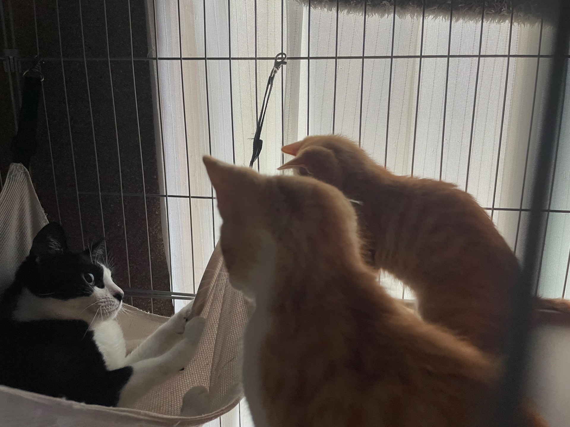 今日から私が教育係りよ！