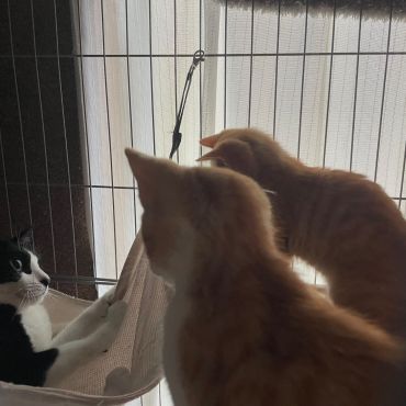 今日から私が教育係りよ！