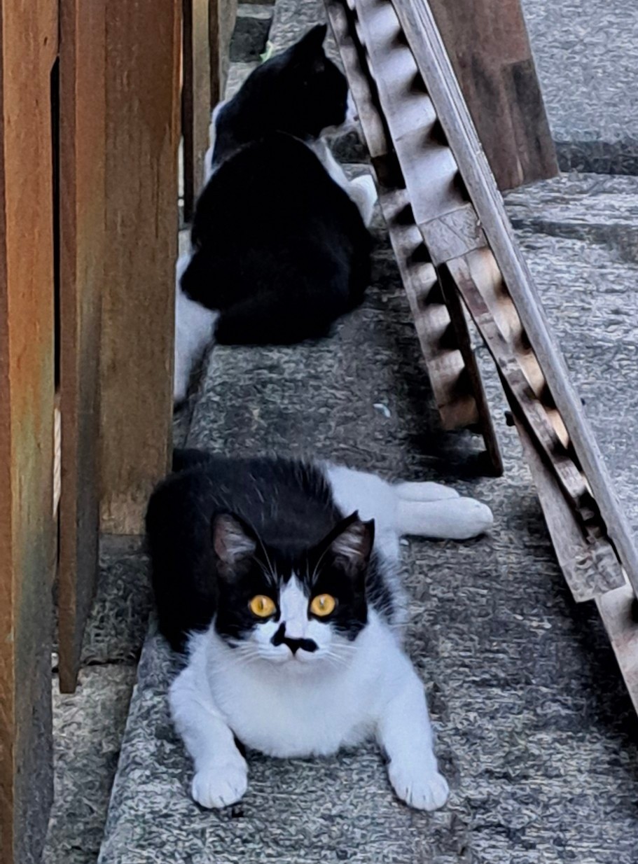 仲良し姉妹