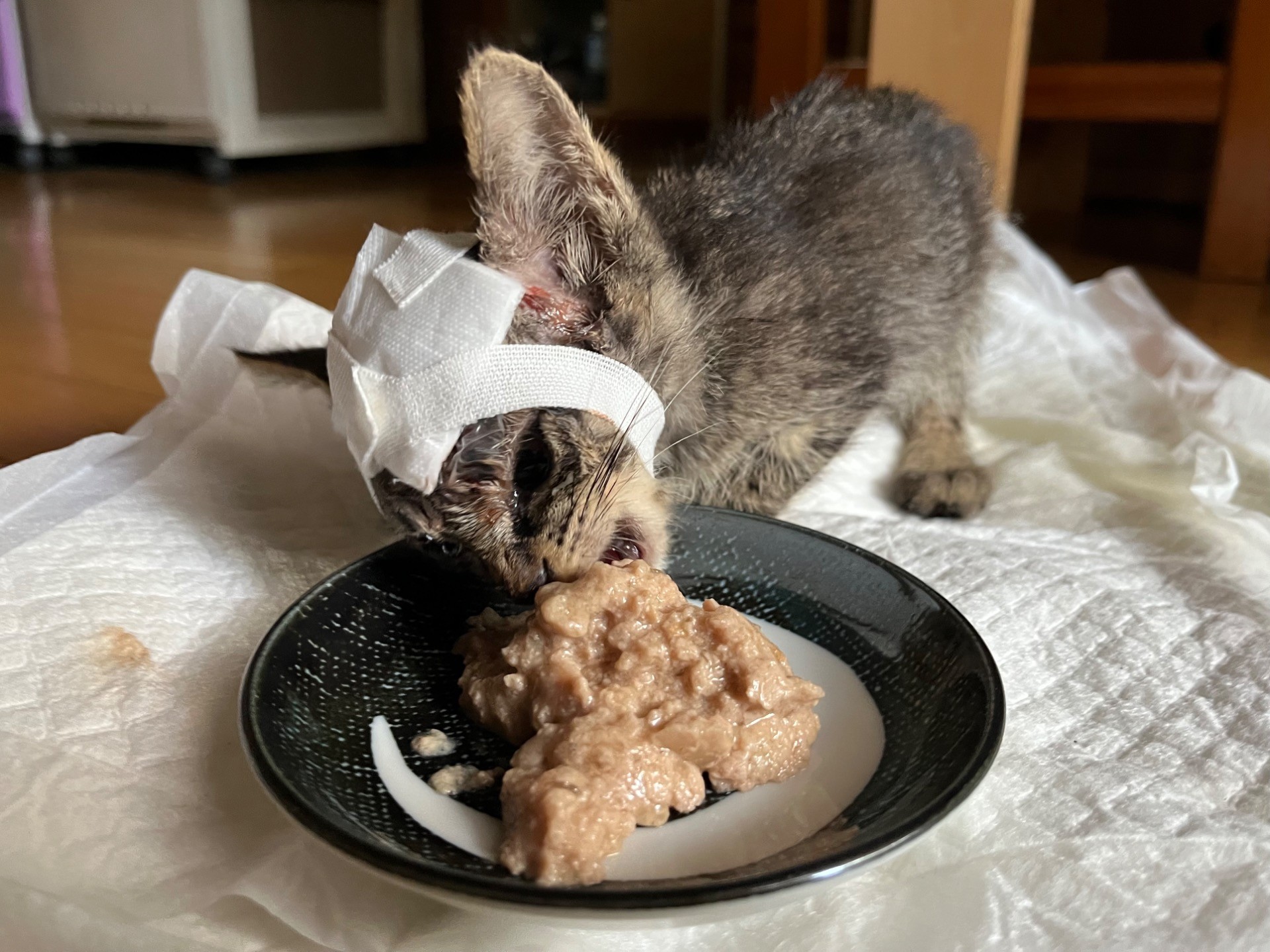 生きようとする力