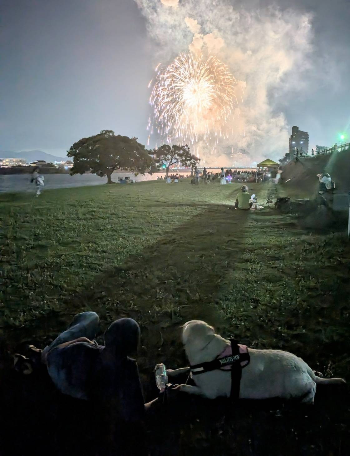 花火大会