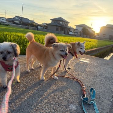 みんなで早起き大好き朝んぽ🎶