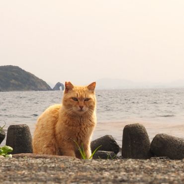海風をまとう誇り