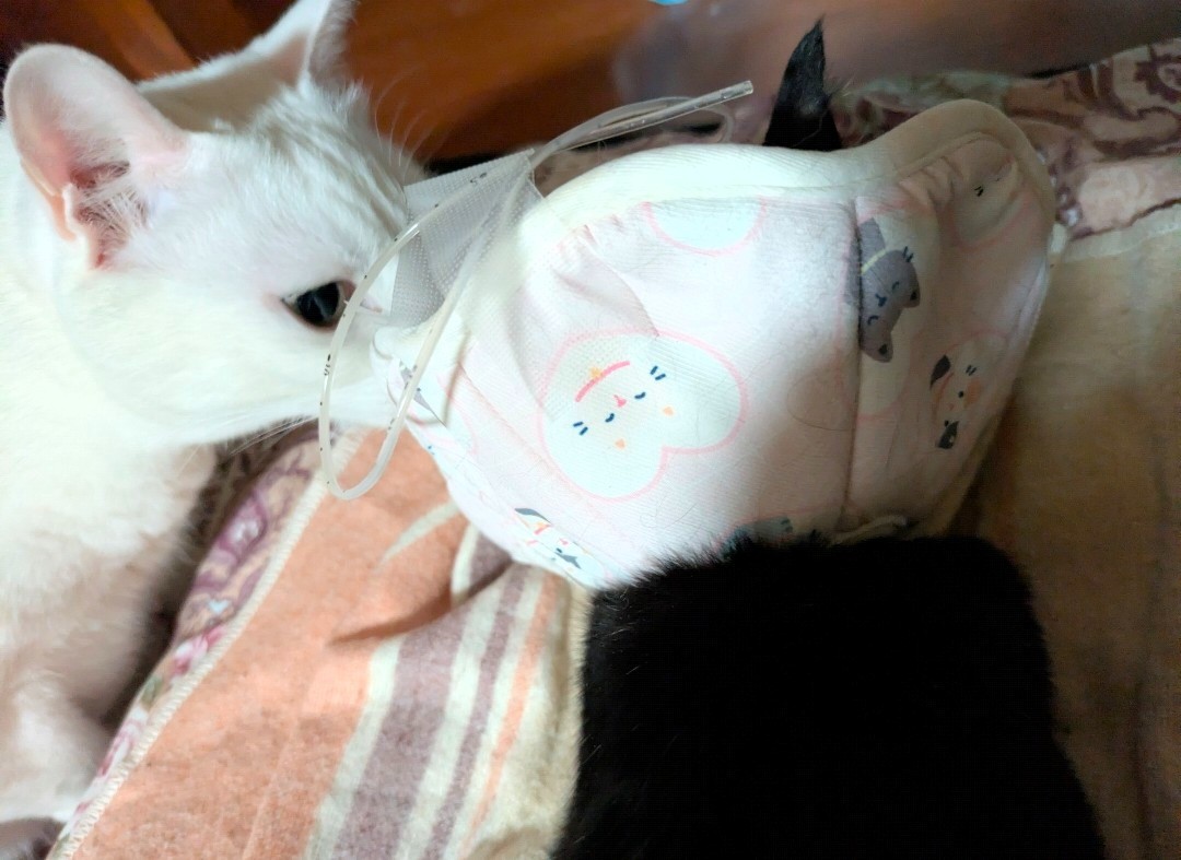 そばにいるよ