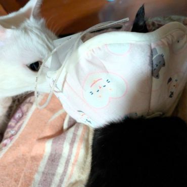 そばにいるよ