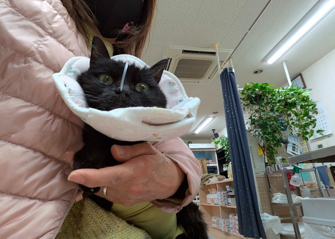 お家に帰ろう