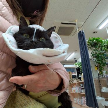 お家に帰ろう