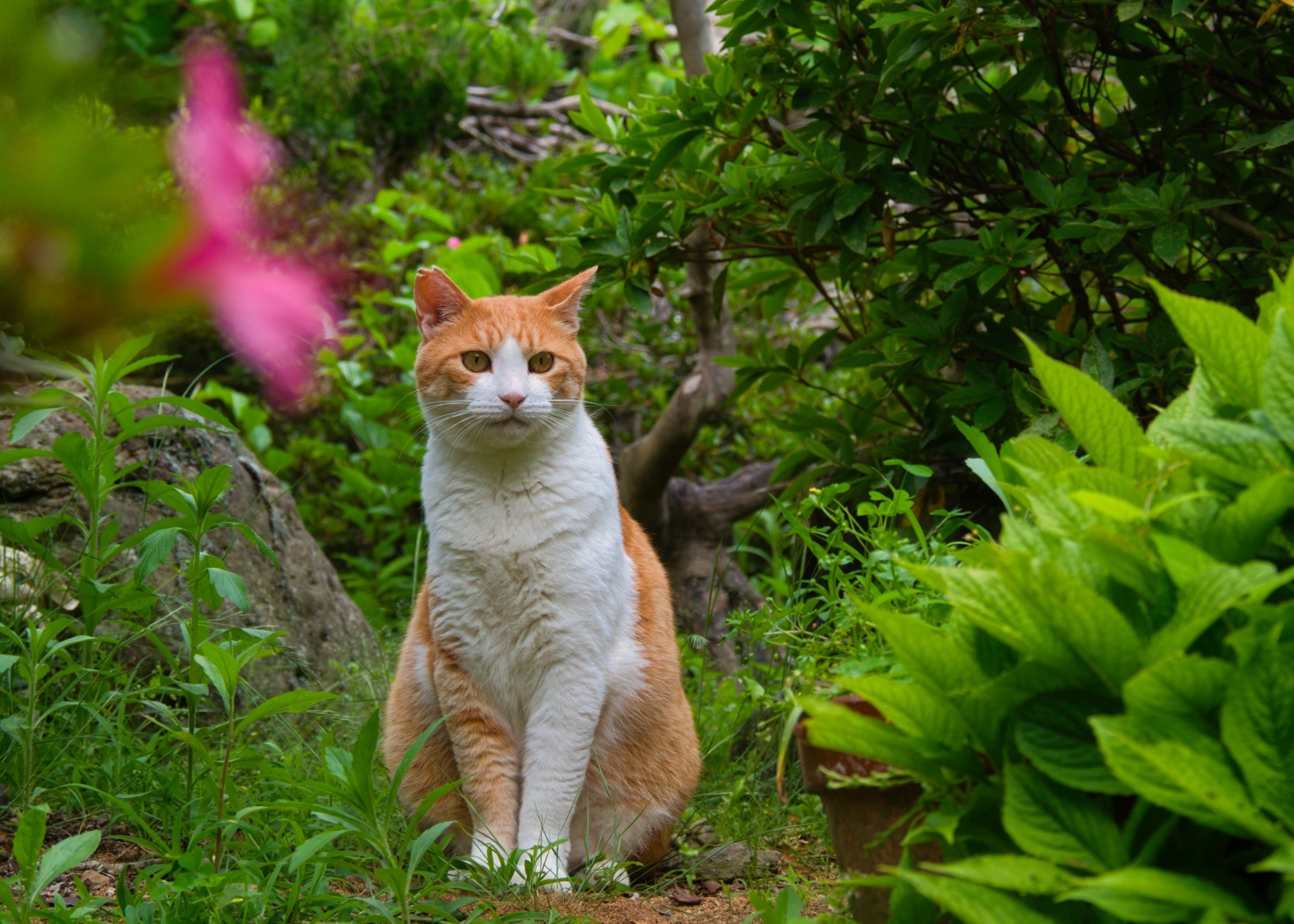 お花と一緒に