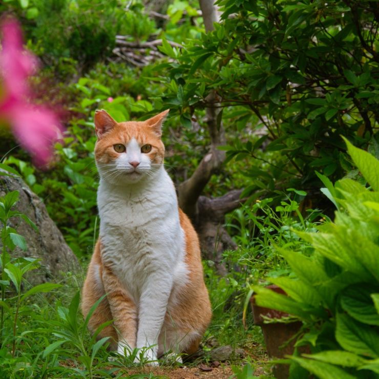 お花と一緒に