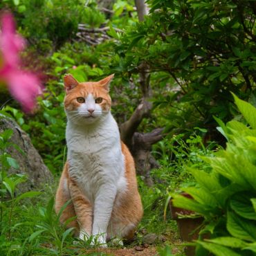 お花と一緒に