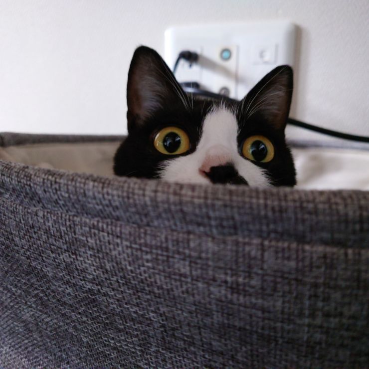 呼んだ？