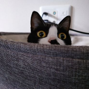 呼んだ？