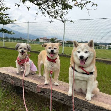 ハイチーズ‼︎
