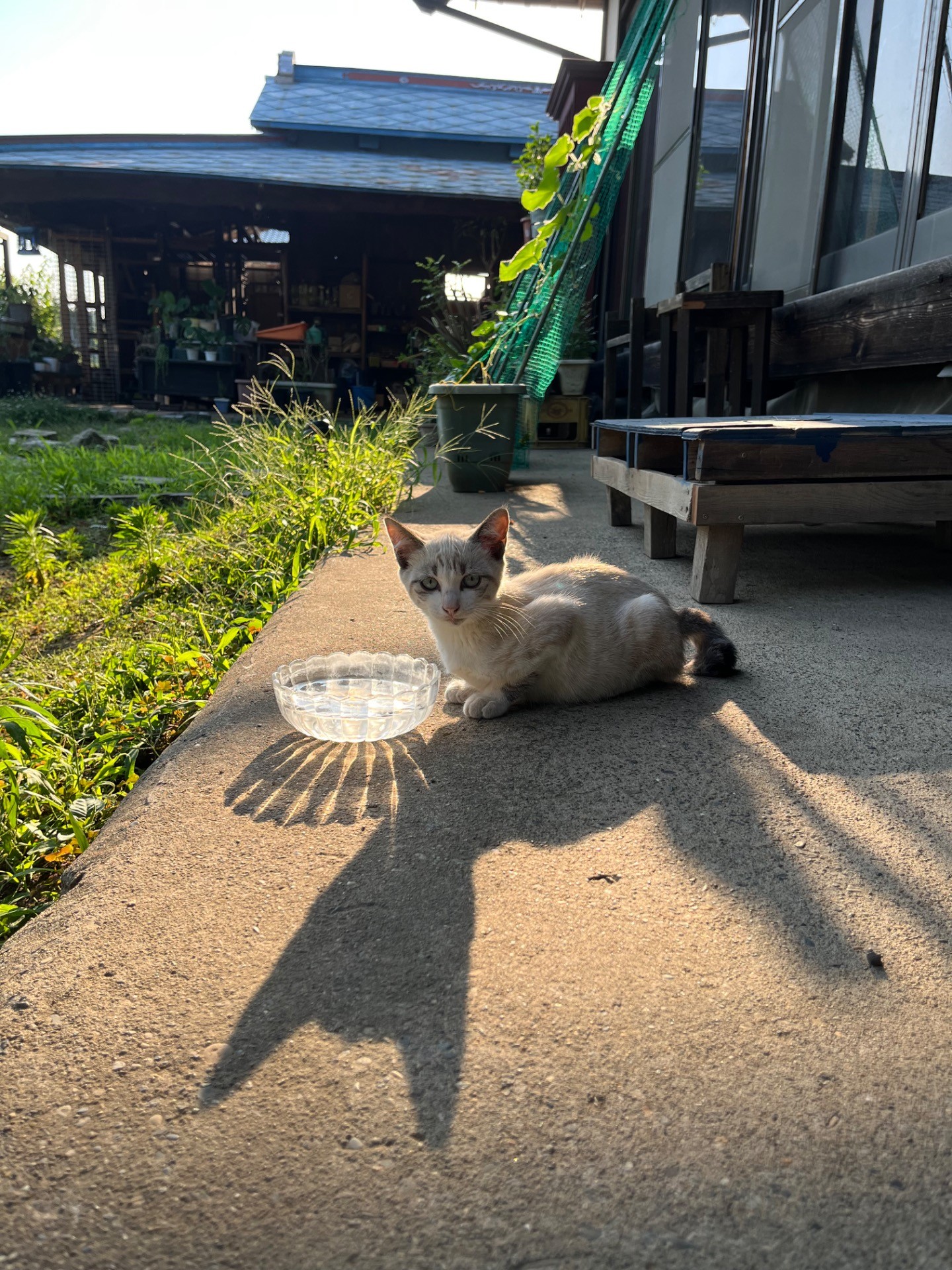 生きていてくれて良かった