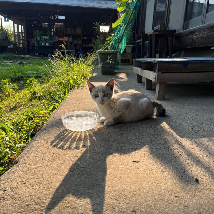 生きていてくれて良かった