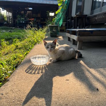 生きていてくれて良かった