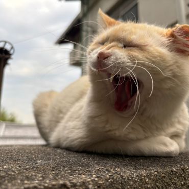 あ～　よくねたな