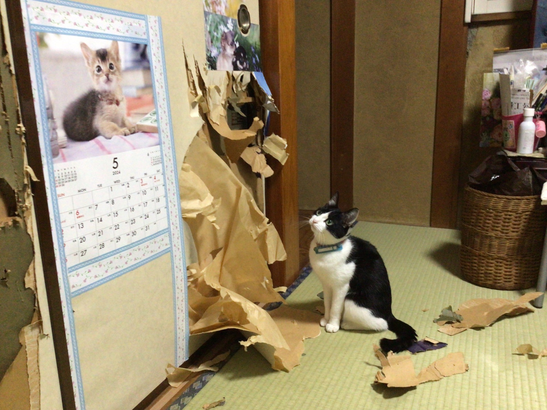 私じゃありません！いえ、現行犯です！