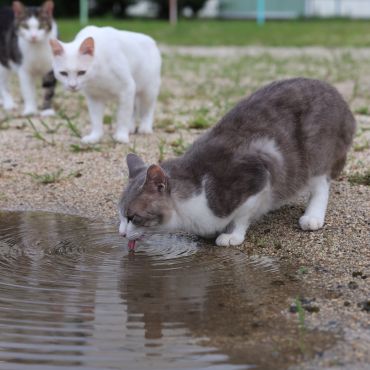 命の水