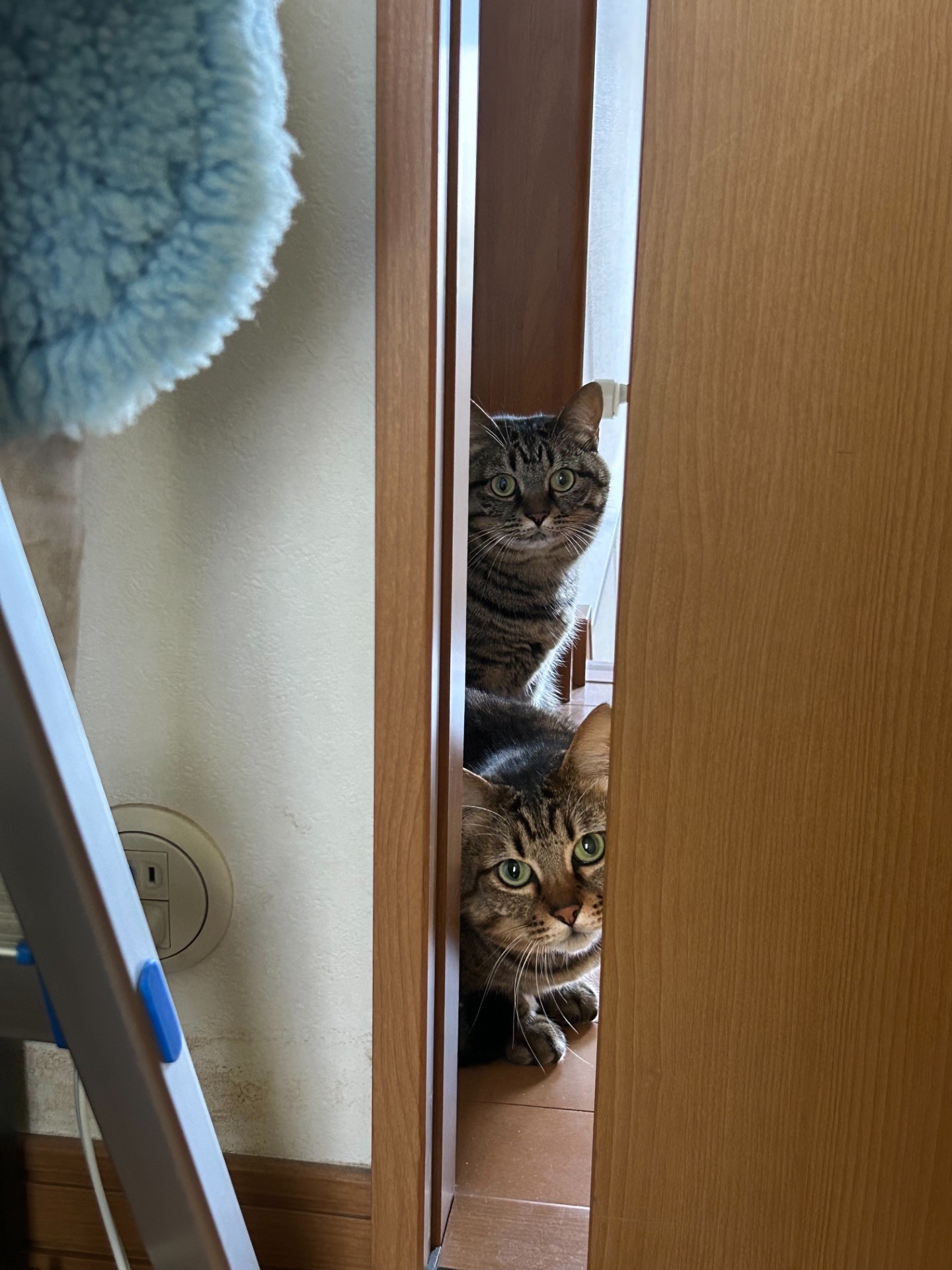 熱い視線が…