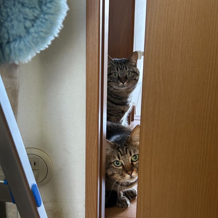 熱い視線が…