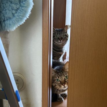 熱い視線が…
