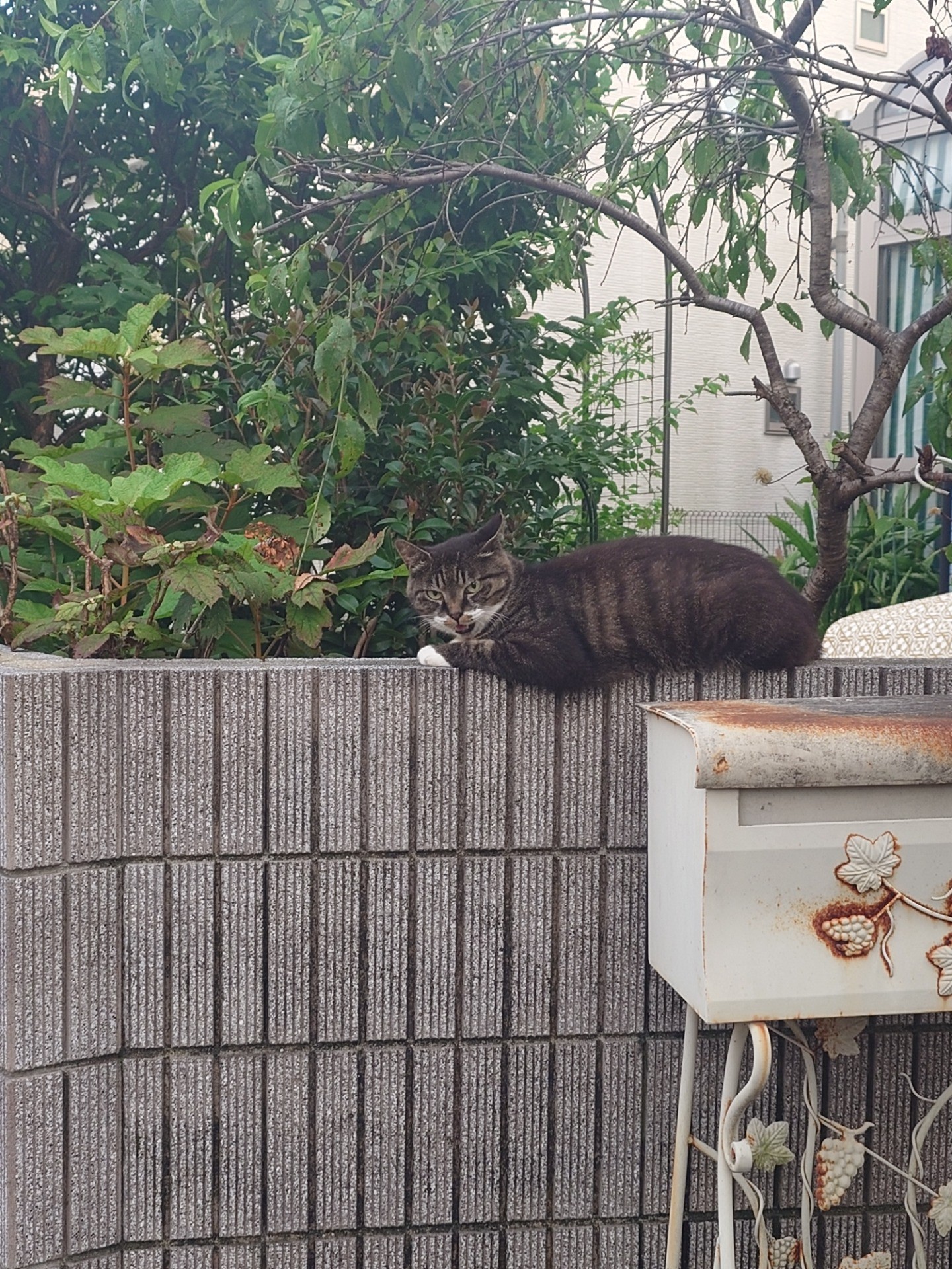 遅いぞー！