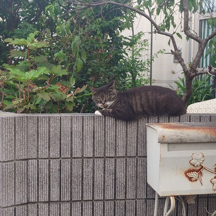 遅いぞー！