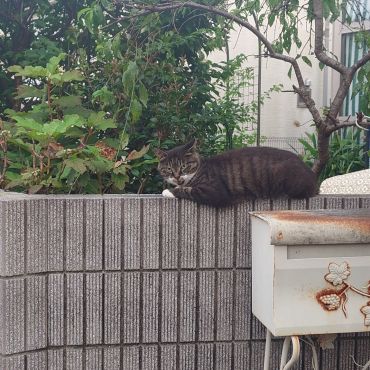 遅いぞー！