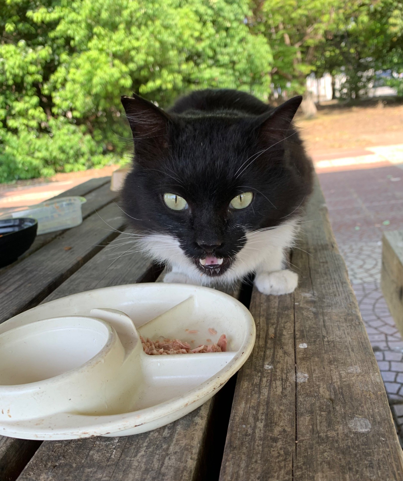 おかわり