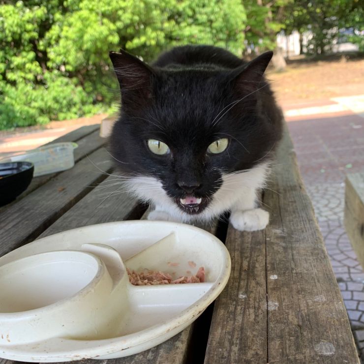 おかわり
