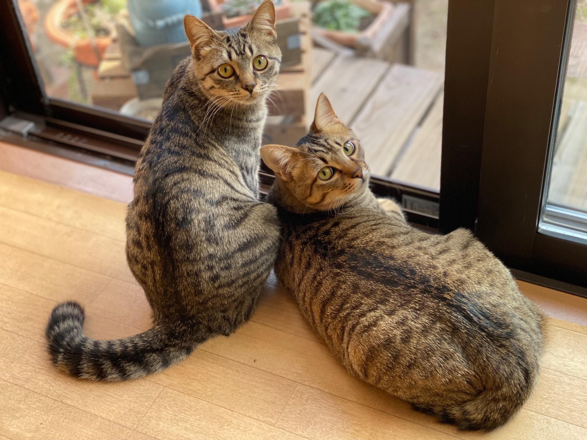 な〜に〜