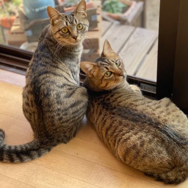 な〜に〜