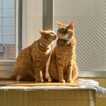 しあわせは、こんな距離。