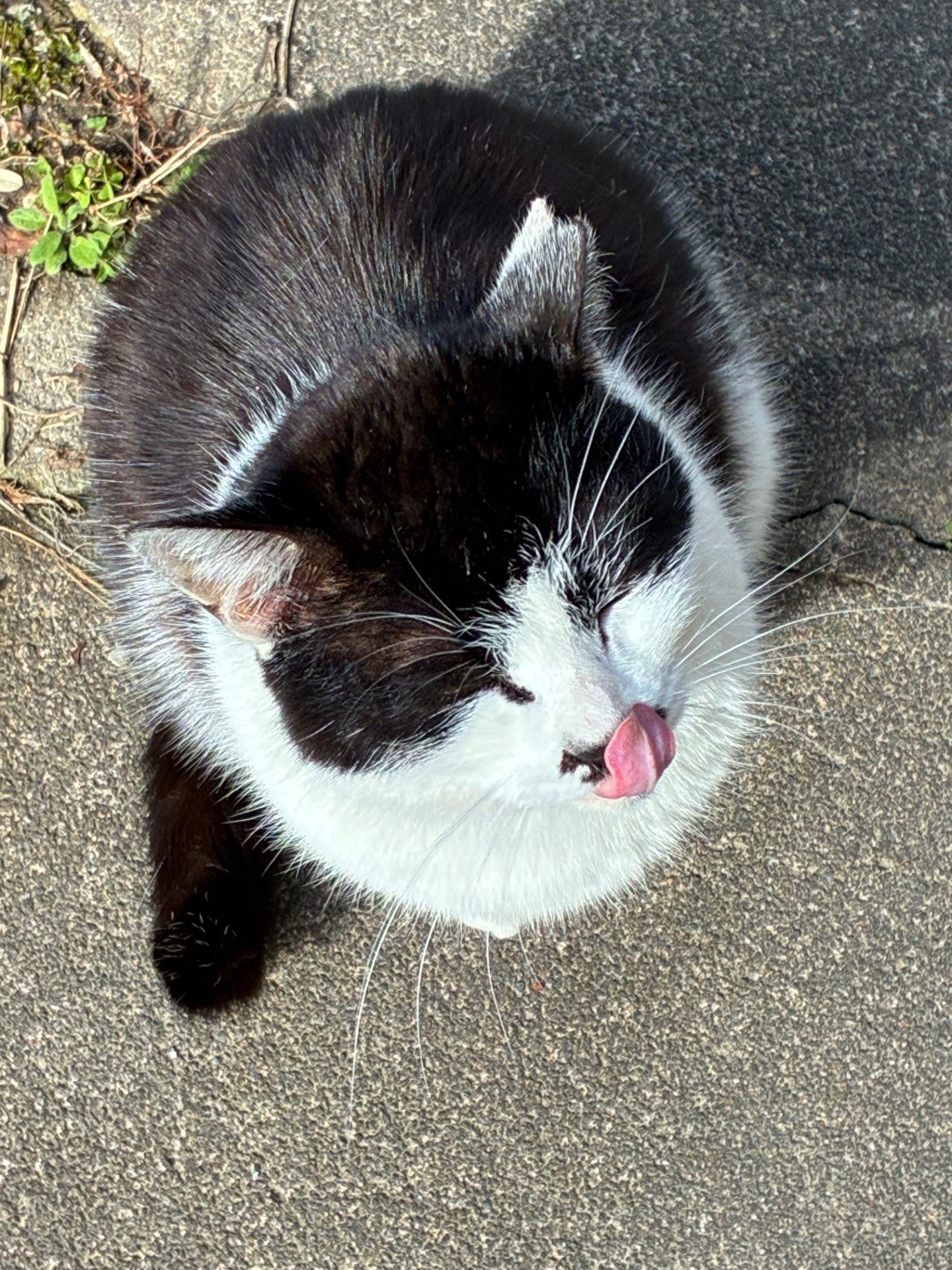 心ひらいて