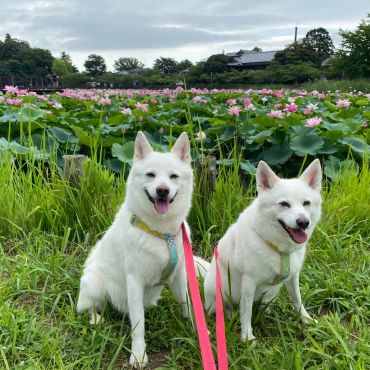 11年目の笑顔！